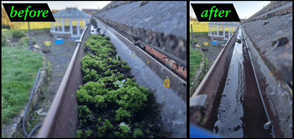 gutter clearing before and after