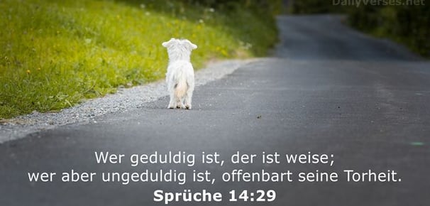 Wer geduldig ist, der ist weise