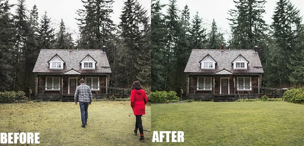 Lawn Replacement