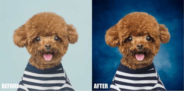 photo-manipulations