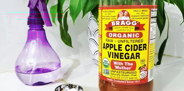 Apple cider vinegar natural pest treatment for houseplants