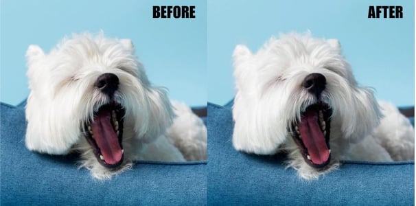 clean-wool-or-correct-hair-color