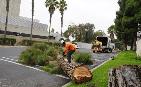 a man in a safety vest is cutting down a tree