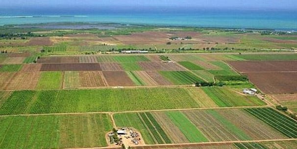 Teren pentru construcții sau agricol în Strășeni