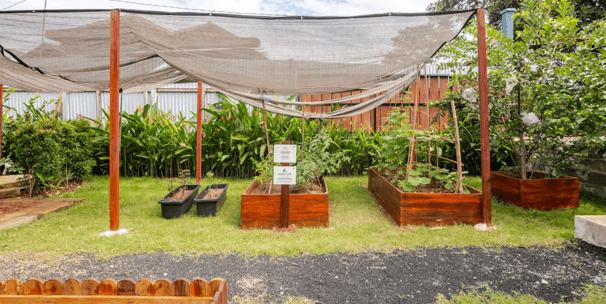 Raised farming beds for gardening and harvesting at Casa Candali farmstay.