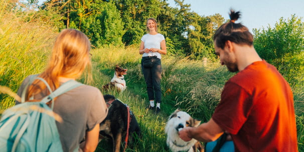 Hundetraining in der Gruppe – Social Walk und Gruppentraining in Göttingen mit Hundeschule Takoda
