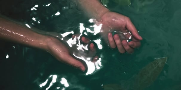 Mains dans l’eau illustrant l’accueil d’un soin ponctuel pour libérer l’excès et clarifier le champ