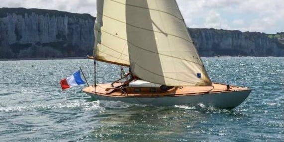 Voile classique Requin