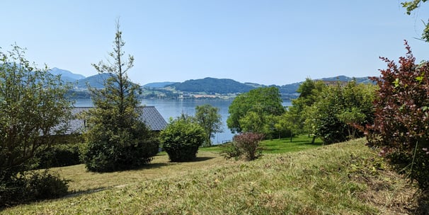 Gemähte Wiese in Gmunden