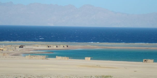 Red sea trip Bedouin star