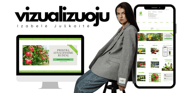 vizualizuoju