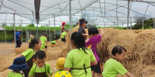 Trải nghiệm trại hè tại trung tâm can thiệp sớm