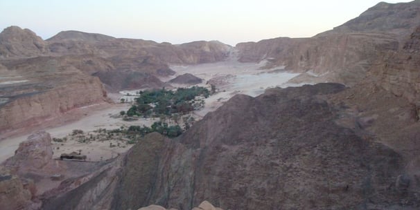 Desert trip Bedouin star