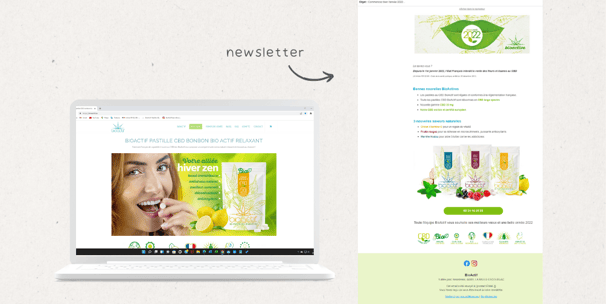 newsletters