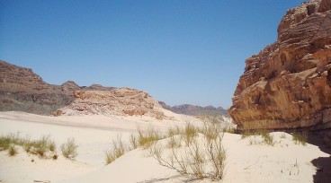 Desert safari Bedouin star