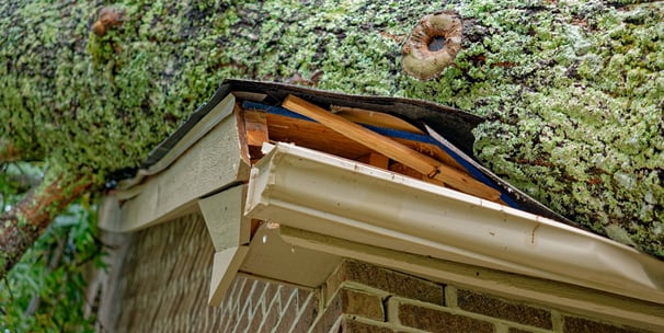 Gutter damage