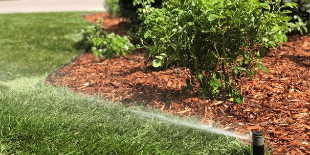 Buffalo Wyoming Landscaping