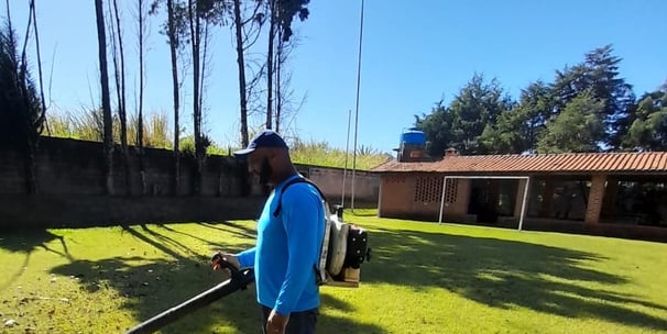 Limpeza de terreno