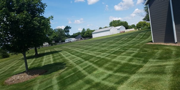 Proffessional mowing