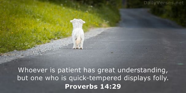 Whoever is patient has great understanding