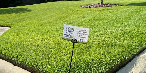 Expert lawn care