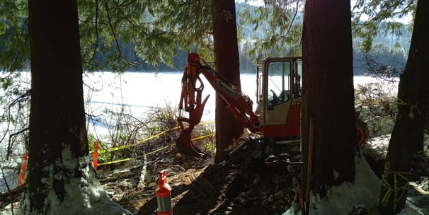 Historic hazardous waste clean-up amongst old growth, vancouver