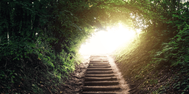Camino ascendente con escalones. Todo está rodeado de vegetación, pero al fondo se ve una luz