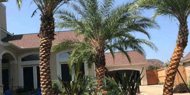 Tropical Gardens Nursery