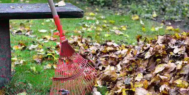 Nettoyage d'Automne