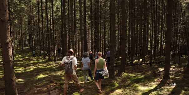 a group of people walking through a forest