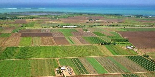 Teren pentru construcții sau agricol în Strășeni