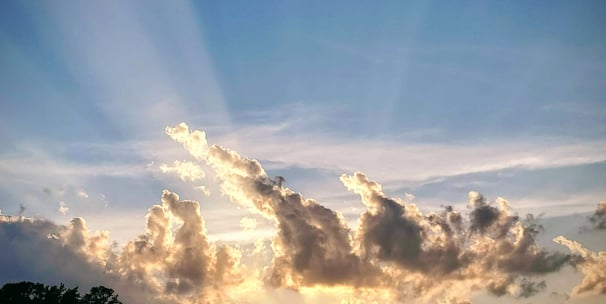 Photo of a sunset, with sunlight radiating upward, backlighting clouds, the tree line is visible below