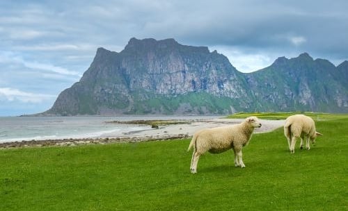Kelionės kemperiu, Norvegija lofotenai