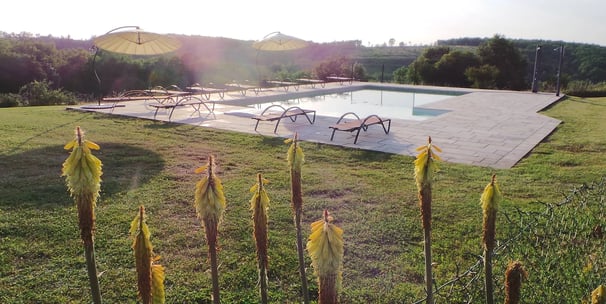 45 / 5 000 une piscine avec chaises et parasols gite de groupe