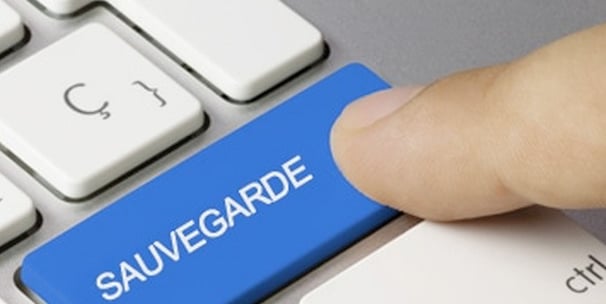 Sauvegarde proactive