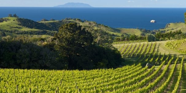 Waiheke Island