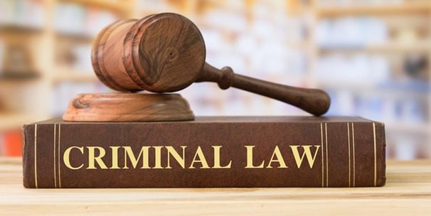 Criminal Law Support