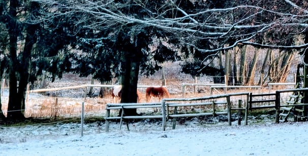 Aubachtal im Winter