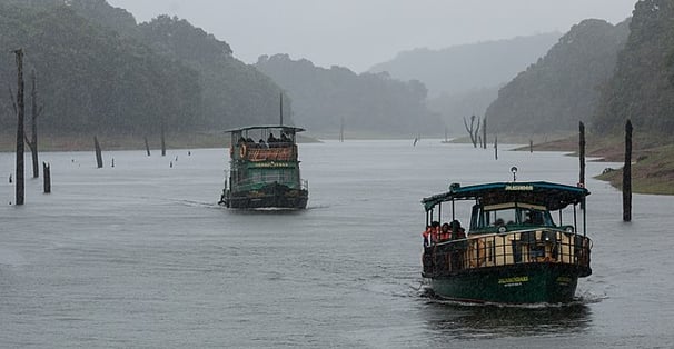 Boat ride on Periyar Lake – wildlife viewing in Kerala’s Periyar Sanctuary South India destination