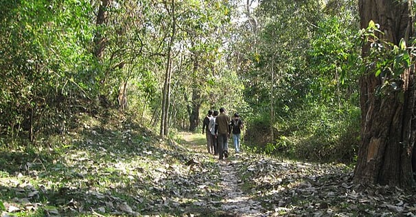Trekking in Periyar Wildlife Sanctuary – forest trail in Kerala South India travel