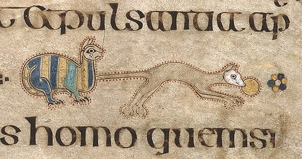 Book of Kells–illuminated medieval manuscript display at Trinity College Library in Dublin, Irelland