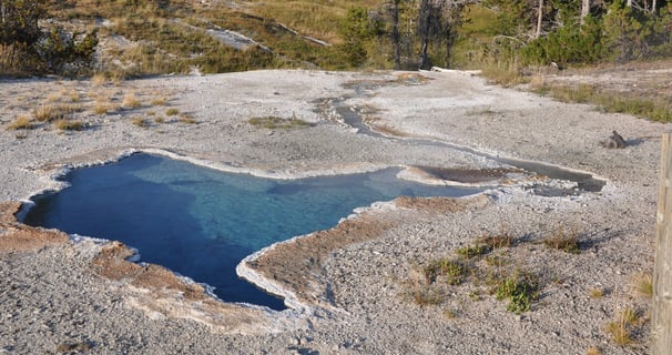 a large geothermal blue pool in yellowstone national park