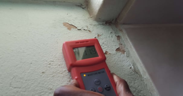 Moisture reading Randburg