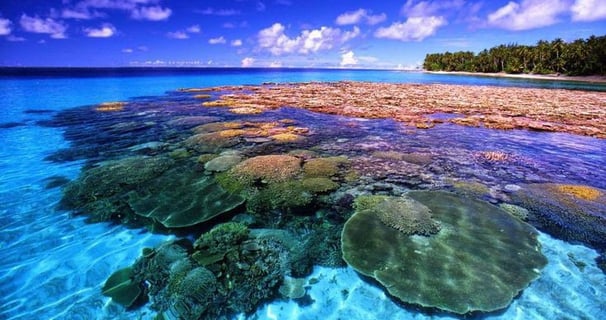 Taman Nasional Bunaken_banner