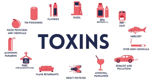 Toxins in our environment that kill us