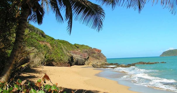 Crique voyage france guadeloupe