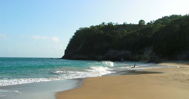 Tillet voyage france guadeloupe