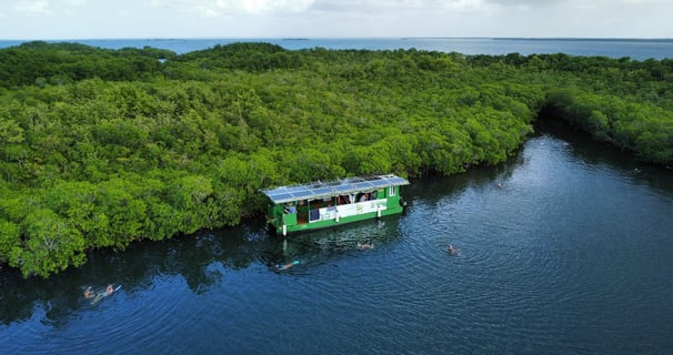 mangrove grande anse voyage france guadeloupe