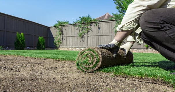 a man is putting a roll of grass in the yard