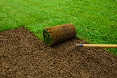 a roll of turf turf with a roll of turf